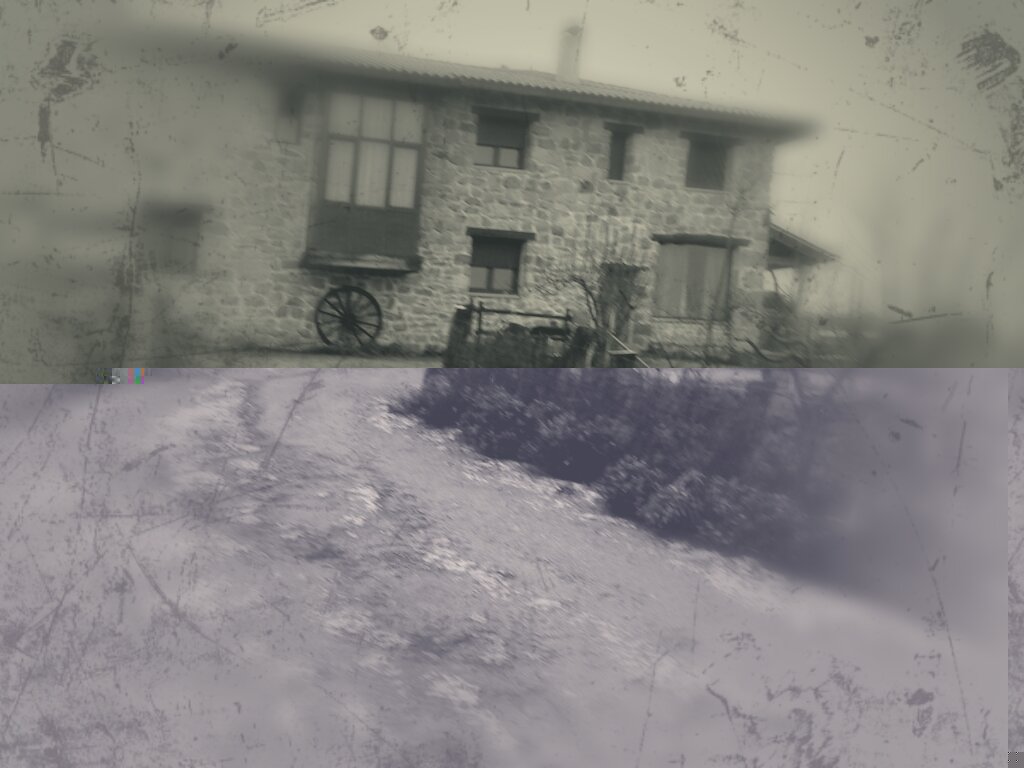 Casa Terror "El pajaro chico" Zamora