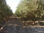 Quintas en Mza