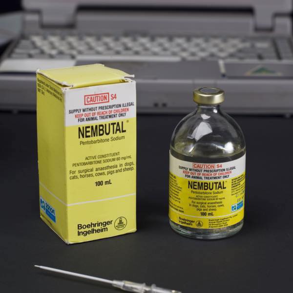 Uso veterinario / humano @ (Medicines.couplots@gmail.com) Obtenga Nembutal Pentobarbital sodium