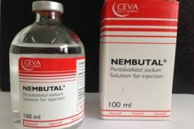 Compre Nembutal sin receta para uso humano y veterinario.